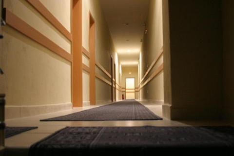 City Hostel Bratislava Bagian luar foto